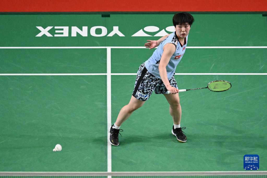 和谷歌搜索 和谷歌搜索