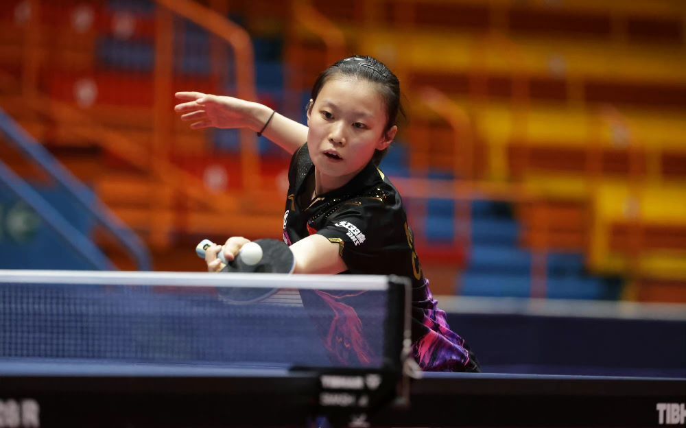 控图托举双 控图托举双