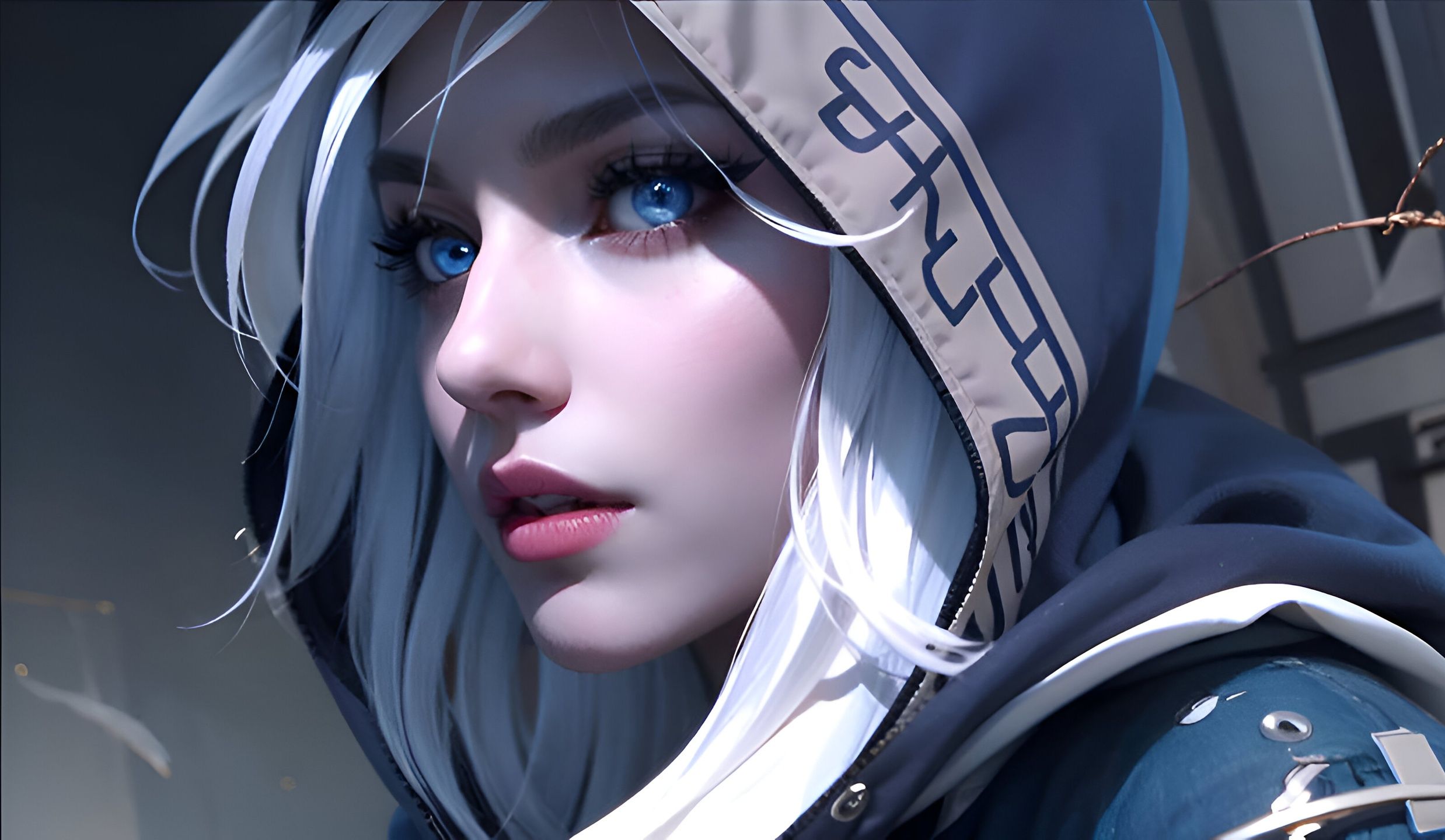 新规要求 新规要求